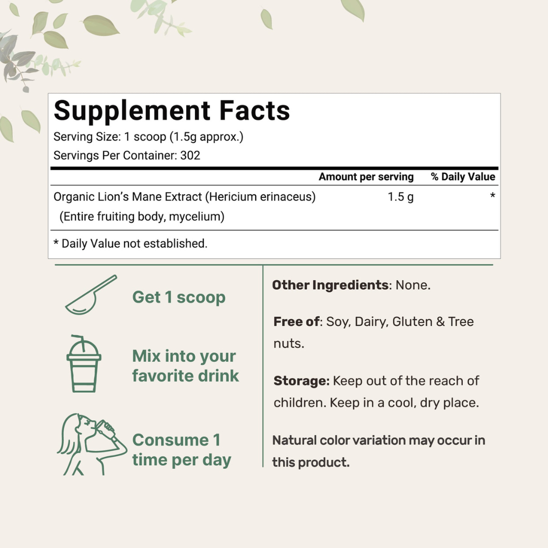 Lion's Mane - Brain + Focus Support