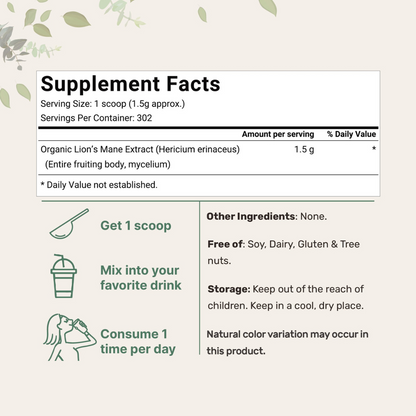 Lion's Mane - Brain + Focus Support
