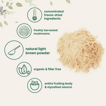 Lion's Mane - Brain + Focus Support